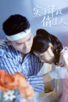 实习律政俏佳人