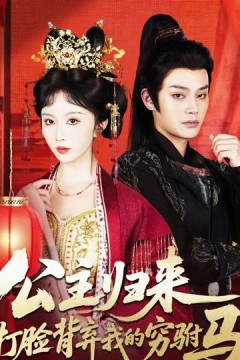 公主归来打脸背弃我的穷驸马