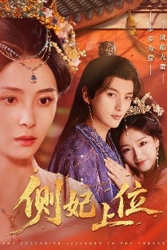 侧妃上位