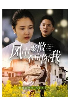 风中聚散不由你我