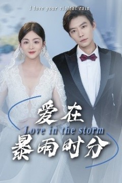 爱在暴雨时分