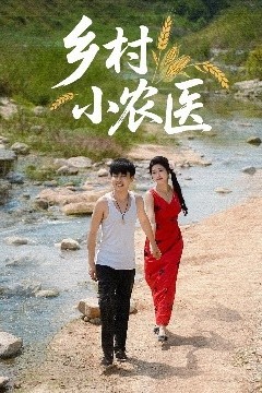 乡村小农医