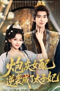 炮灰女配逆袭成了太子妃