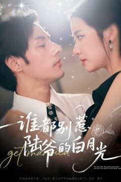 谁都别惹陆爷的白月光