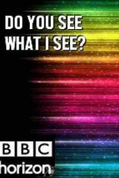 BBC地平线系列：你看到我所见了么