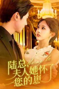 陆总，夫人她怀了您的崽