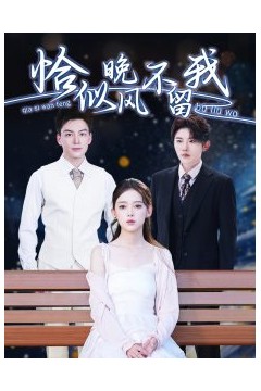 恰似晚风不留我＆弃他如风