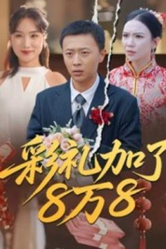 彩礼加了8万8