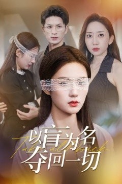 以盲为名夺回一切