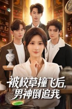 被校草撞飞后男神倒追我