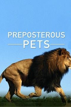 宠物妙翻天第一季