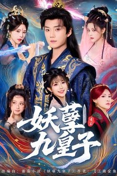 妖孽九皇子