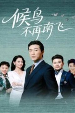候鸟不再南飞