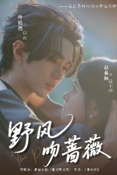 野风吻蔷薇