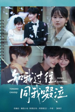 知我过往同我啜泣