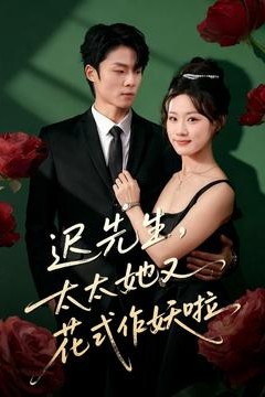 迟先生，太太她又花式作妖啦