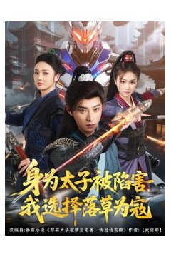 身为太子被陷害，我选择落草为寇