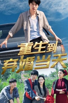 重生到弃婚当天