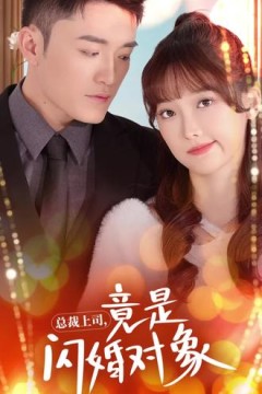 总裁上司竟是闪婚对象(误入婚途)