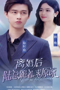 离婚后，陆总跪着求原谅