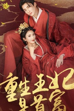 重生王妃是首富