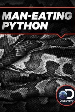 吃人蟒蛇