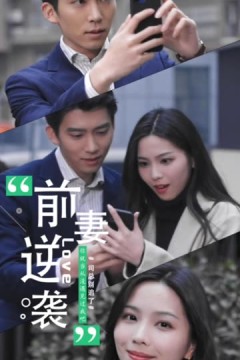 前妻逆袭司总别追了