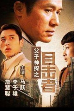 父子神探之目击者