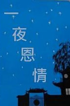 一夜恩情粤语