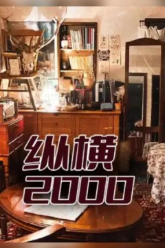 纵横2000