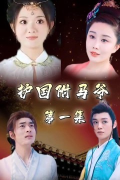 护国驸马爷一国驸马护山河