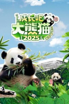 成长吧！大熊猫2025