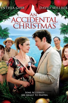 意外的圣诞节2007