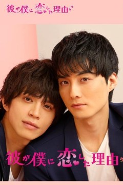 他爱上我的理由第一季
