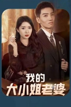 我的大小姐老婆