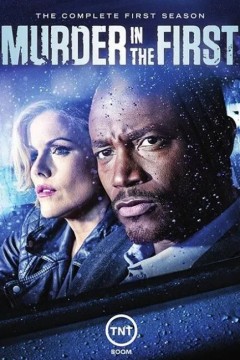 谜案追凶第一季