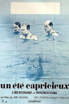 反复无常的夏天