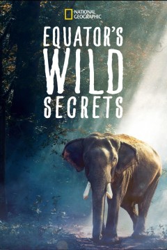 荒野之谜第五季