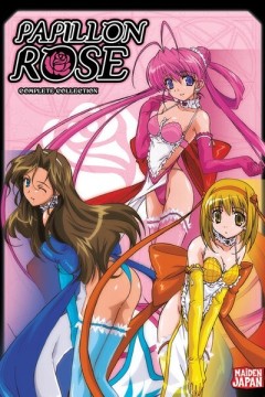 内衣战士蝴蝶玫瑰