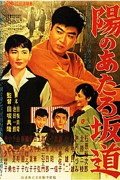 向阳的坡路1958