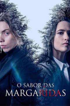 苦味雏菊第二季