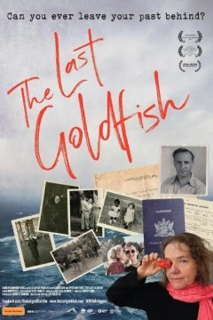 最后的金鱼