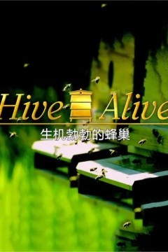 生机勃勃的蜂巢