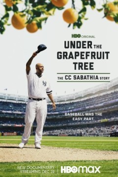 葡萄柚树下：CC萨巴西亚的故事