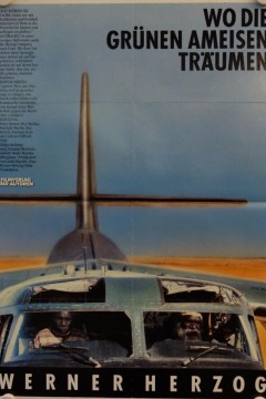 绿蚂蚁做梦的地方1984