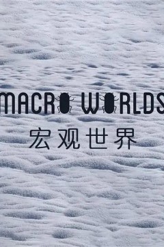 宏观世界2017