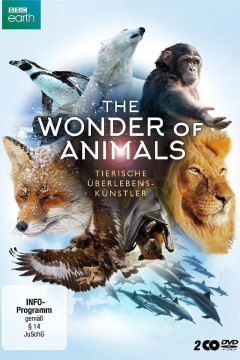 神奇动物大揭秘2014