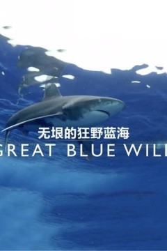 无垠的狂野蓝海第三季