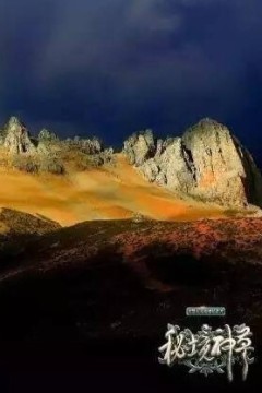 秘境神草第一季