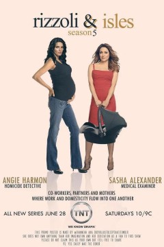 妙女神探第五季